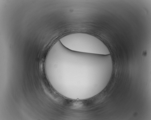 X0000115660214200911120951