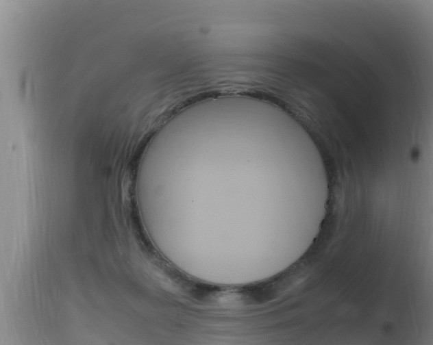 X0000115660219200911120951