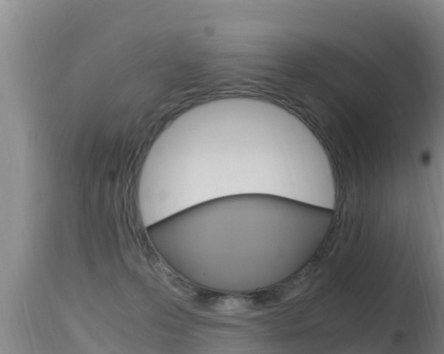 X0000115660223200911120951