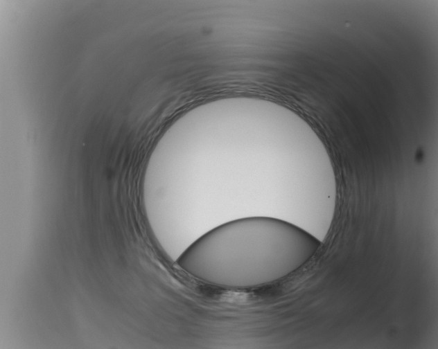 X0000115660227200911120951