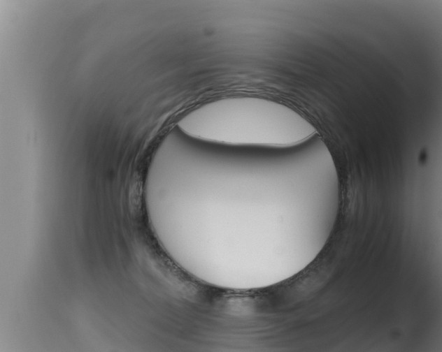 X0000115660228200911120951