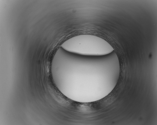 X0000115660232200911120951