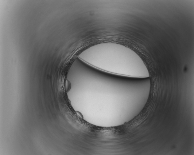 X0000115660236200911120951