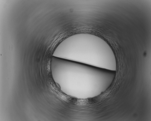 X0000115660240200911120950