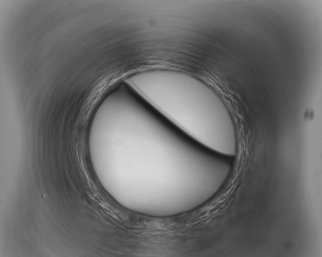 X0000115660241200911120950