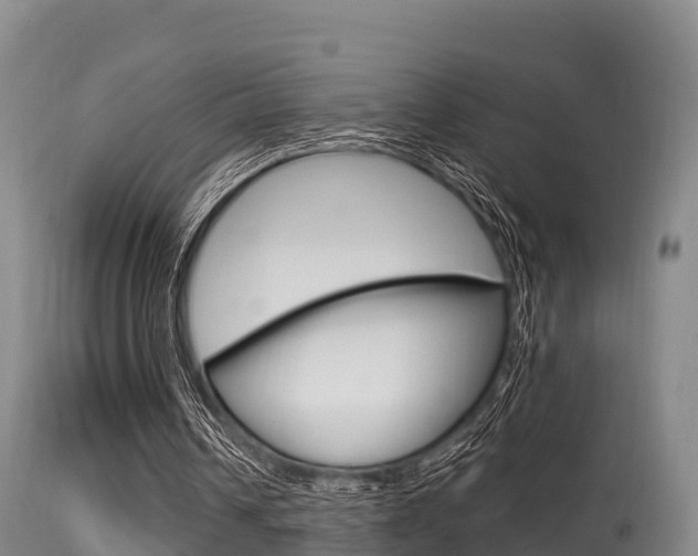 X0000115660242200911120950