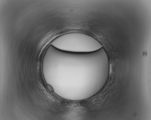 X0000115660243200911120950