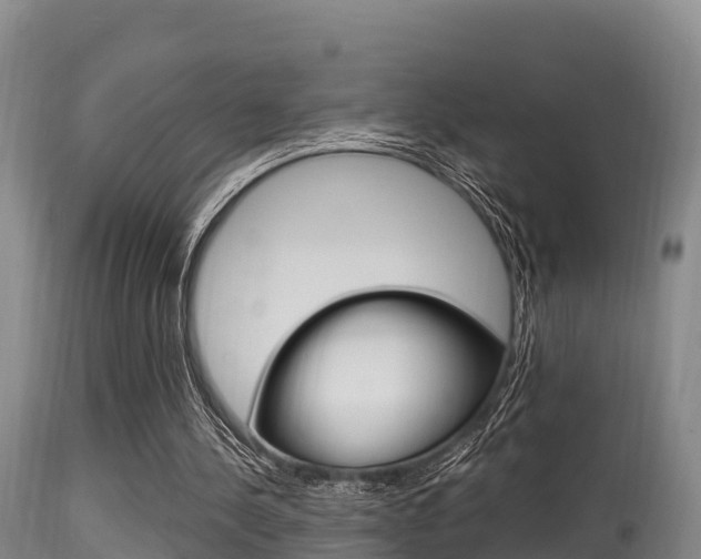 X0000115660244200911120950