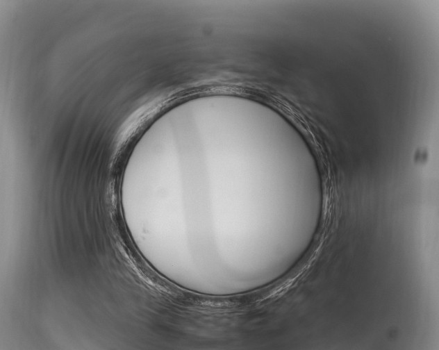 X0000115660245200911120950