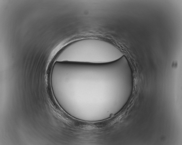 X0000115660246200911120950