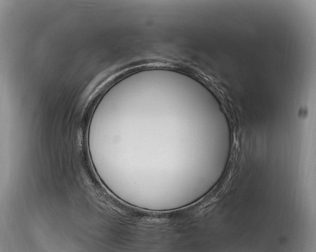 X0000115660247200911120950