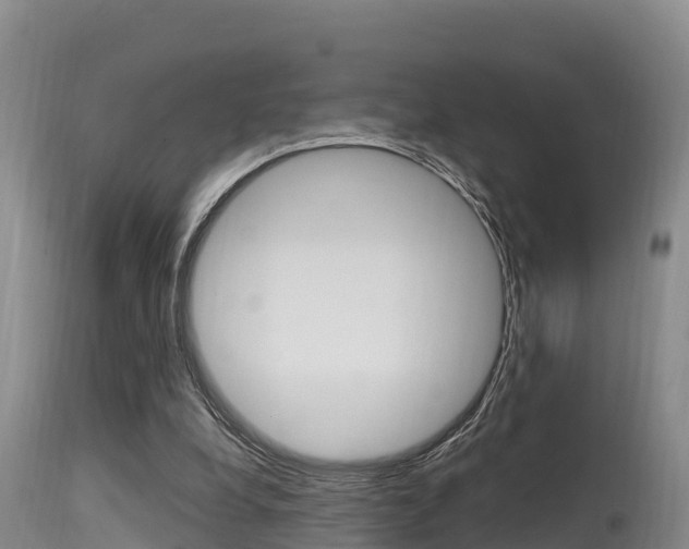 X0000115660248200911120950