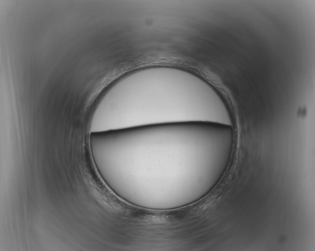 X0000115660250200911120950