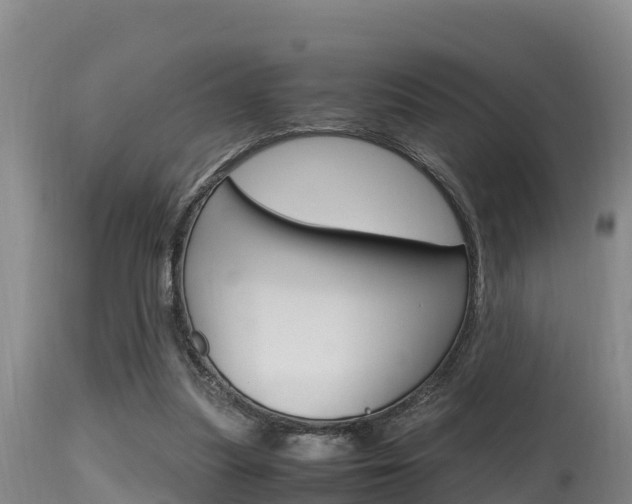 X0000115660251200911120950