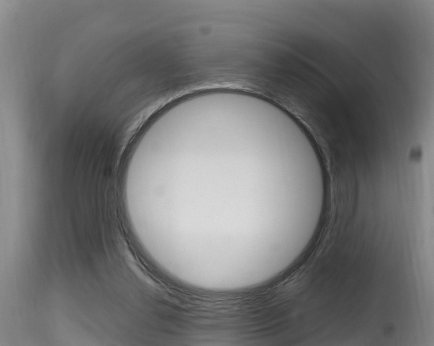 X0000115660252200911120950