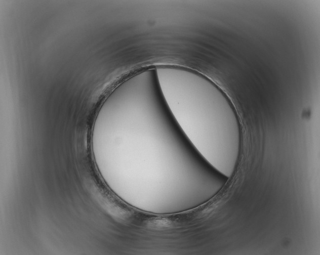 X0000115660253200911120950