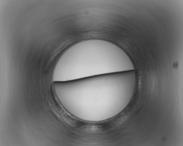 X0000115660254200911120950