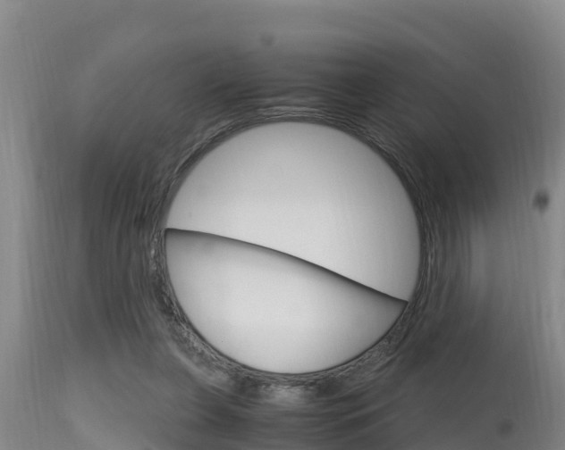 X0000115660255200911120950