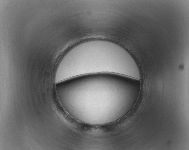 X0000115660256200911120950
