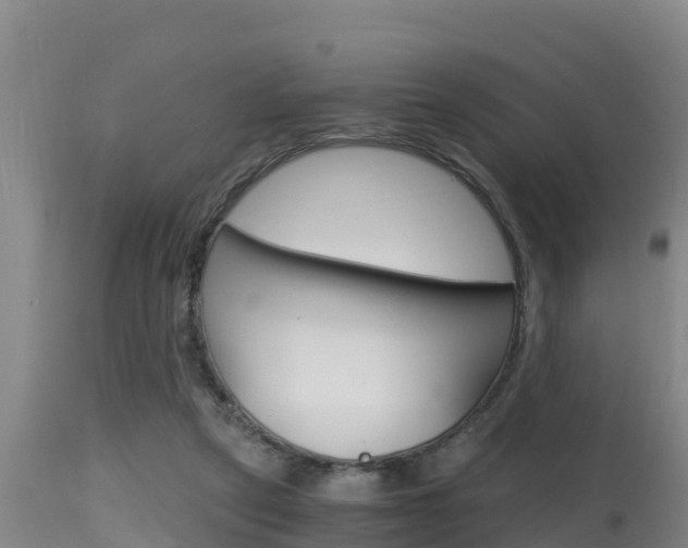 X0000115660257200911120950