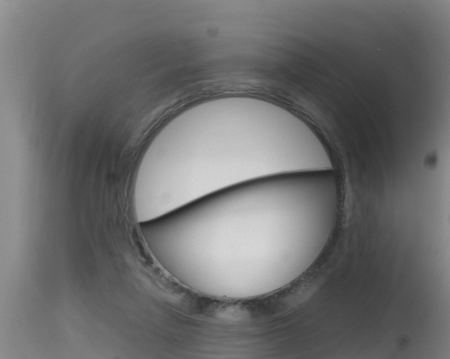 X0000115660258200911120950