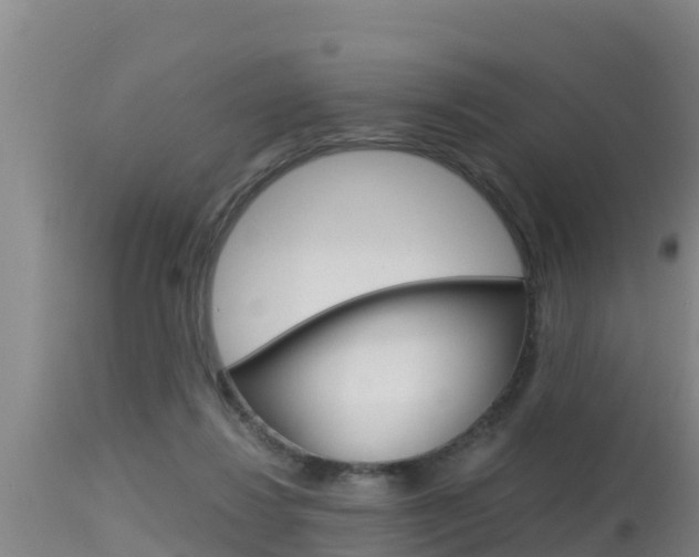 X0000115660260200911120950