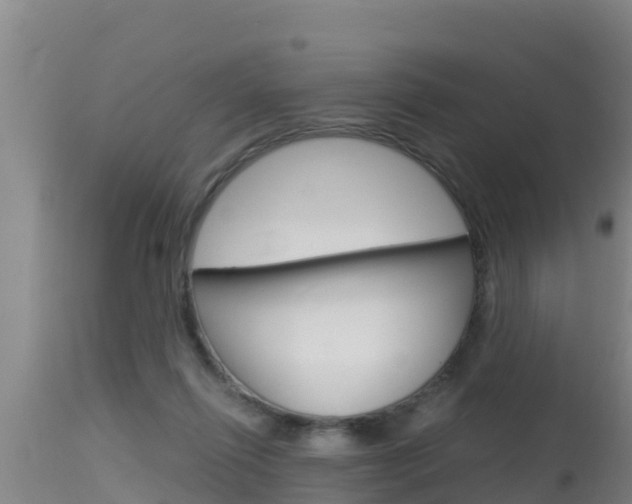 X0000115660262200911120950