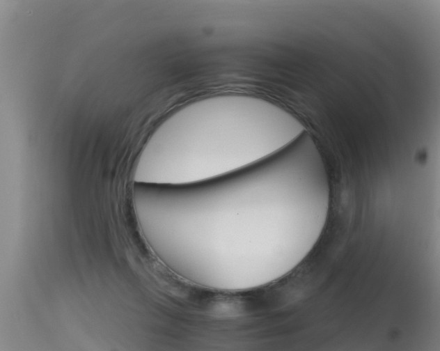 X0000115660263200911120950