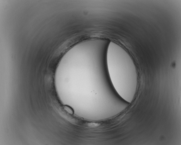 X0000115660265200911120950