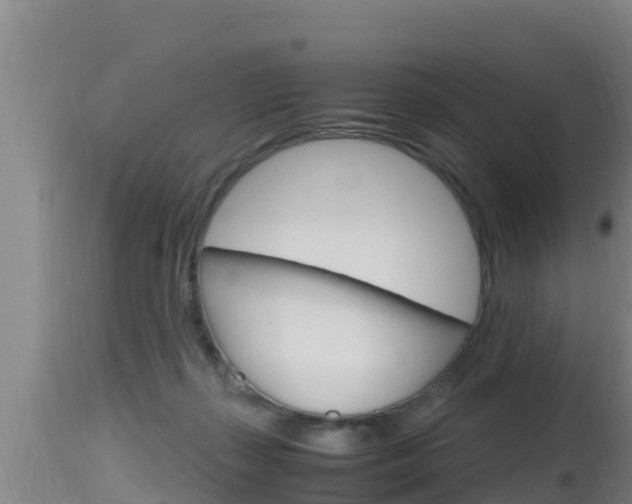 X0000115660267200911120950