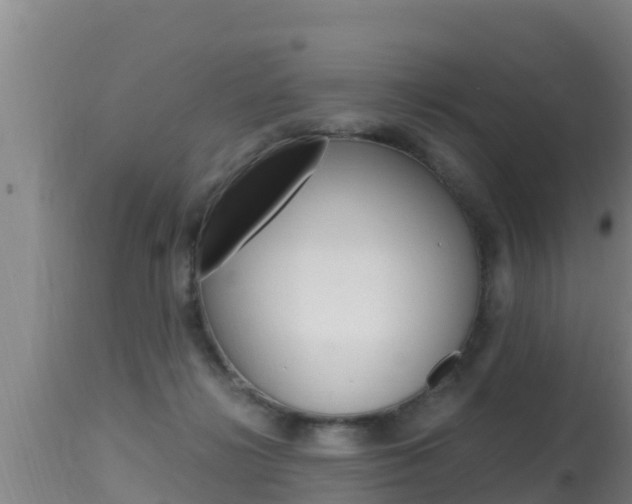 X0000115660268200911120950