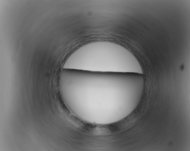X0000115660270200911120950