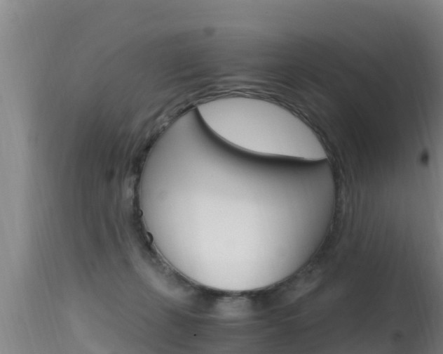 X0000115660271200911120950