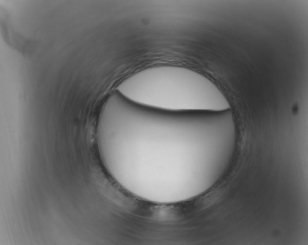 X0000115660273200911120950