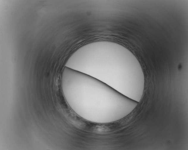 X0000115660275200911120950