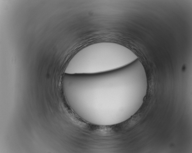 X0000115660278200911120950