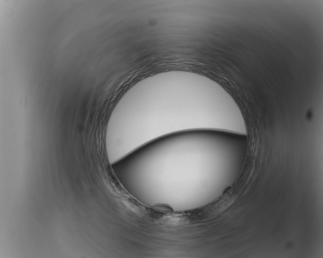 X0000115660280200911120950