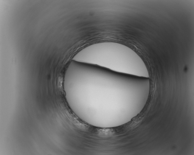 X0000115660281200911120950
