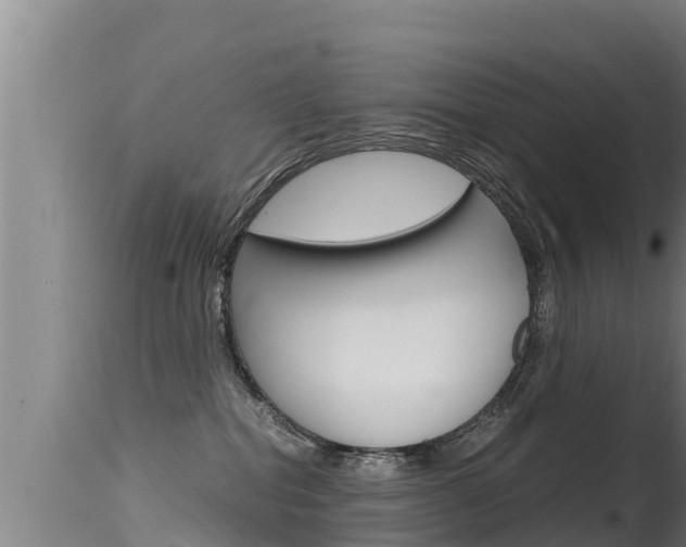 X0000115660282200911120950