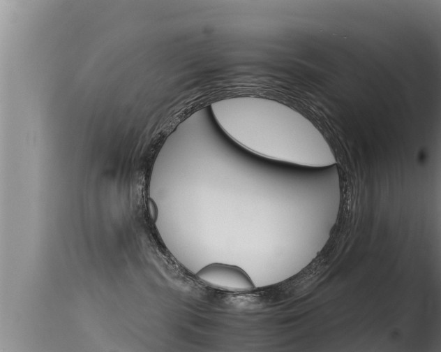 X0000115660283200911120950