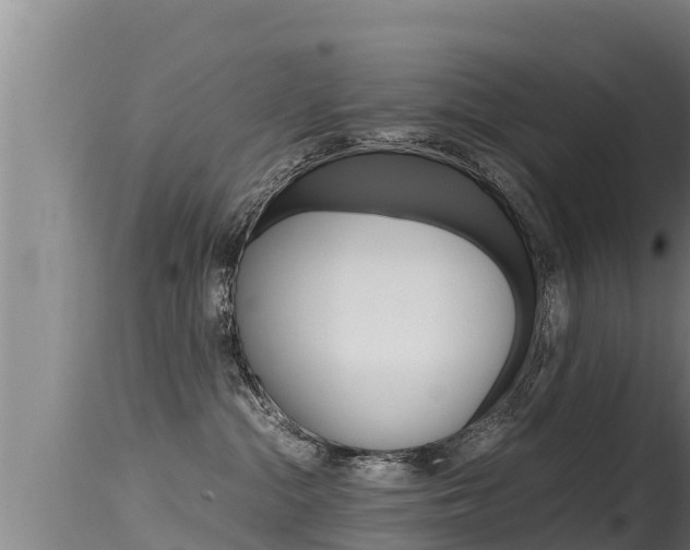 X0000115660284200911120950