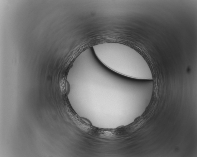 X0000115660285200911120950