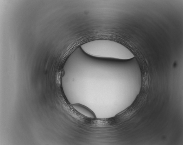 X0000115660286200911120950