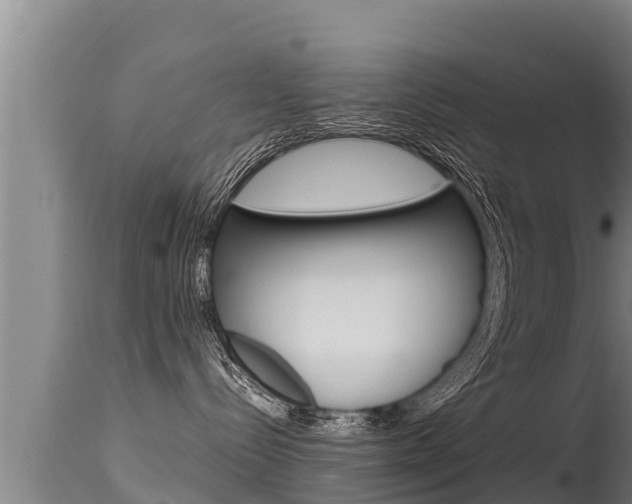 X0000115660288200911120950