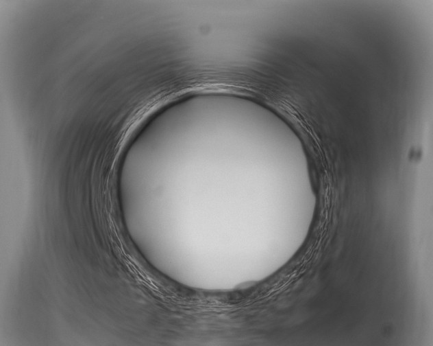 X0000115660289200911120950