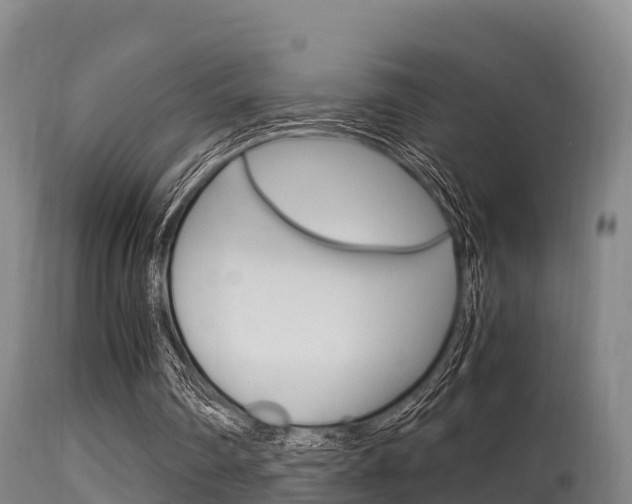 X0000115660290200911120950