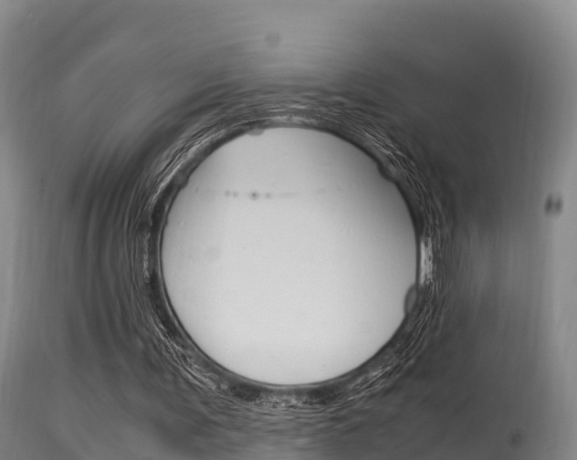 X0000115660291200911120950