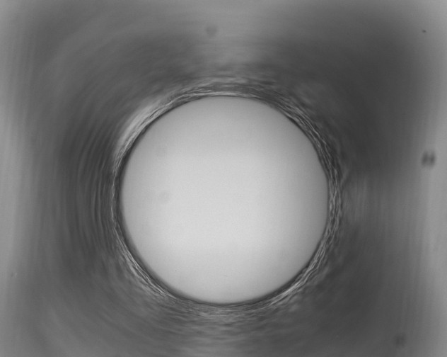 X0000115660293200911120950