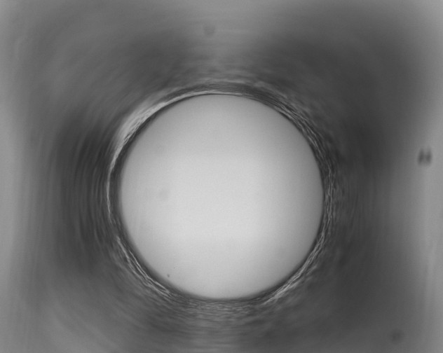 X0000115660294200911120950