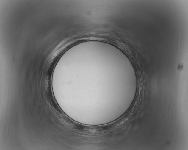 X0000115660295200911120950